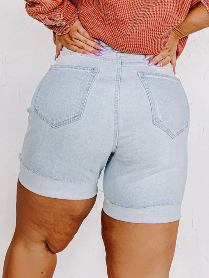 The Caspian Mid-rise Distressed Shorts Curves