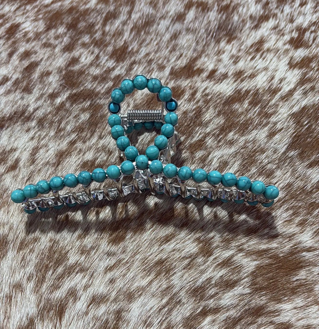Metal Claw Clips