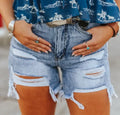 Light Wash Distressed Shorts